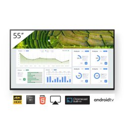 Ecran profesional SONY FW-55BZ30L