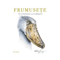 Frumusete. O celebrare a evolutiei - William Spring