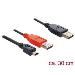 Delock Cable 2 x USB 2.0-A male > USB mini 5-pin, 0.3m