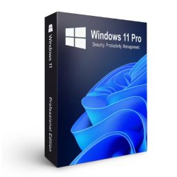 Licenta OEM Windows 11 PRO ENG 64Bit