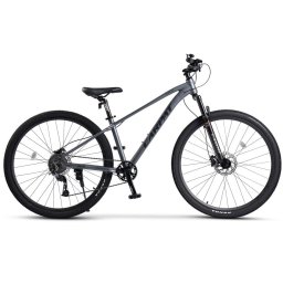 Bicicleta MTB Carpat DURO 2.9 C29334H 29