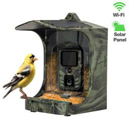 Alimentator inteligent pentru pasari cu camera EVOLVEO StrongVision BirdFeeder - Smart Bird Feeder, WiFi, panou solar, aplicatie
