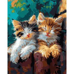 Set pictura pe numere, cu sasiu, Siesta, 40x50 cm