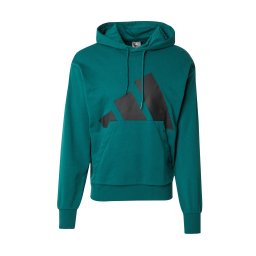 ADIDAS SPORTSWEAR Hanorac sport verde pin / negru