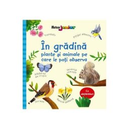 In gradina. Plante si animale pe care le poti observa - Kate Nolan
