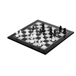 Set de sah si dame, negru-alb, Philos