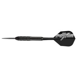 Sageti steeltip PHIL TAYLOR POWER STORM brass Target