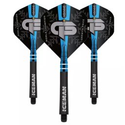 Set 6 fluturasi + 6 shaft-uri Gerwyn Price