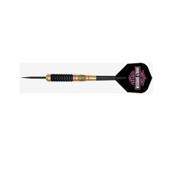 Sageti steeltip Harley Davidson Evo 22g DW