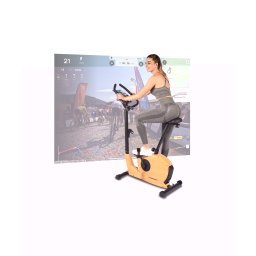 Bicicleta ergometrica Et 3.2