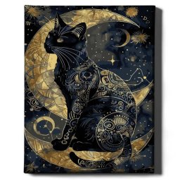 Set pictura pe numere, cu sasiu, Pisica noptii - canvas negru, 40x50 cm