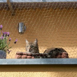 Trixie plasă de protecție cu întăritură din sârmă 2x1,5m, Negru