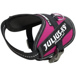 Ham Julius-K9 IDC Power roz închis (Mărime: Baby 2, 2-5 kg, 33-45 cm)