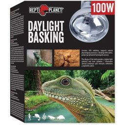 Repti Planet Daylight Basking Spot (100 W)