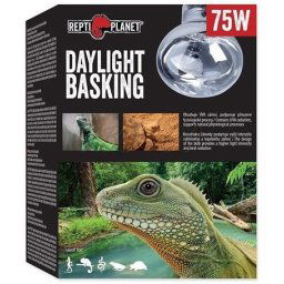 Repti Planet Daylight Basking Spot (75 W)