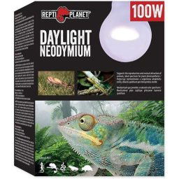 Repti Planet Daylight Neodymium (100 W)