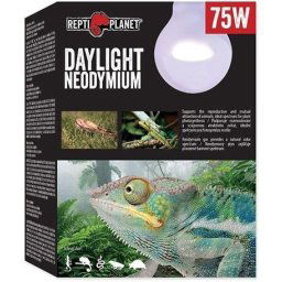Repti Planet Daylight Neodymium (75 W)
