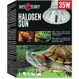 Repti Planet Halogen Sun (35 W)
