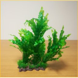 Plantă pentru acvariu cu bază, cu frunze lungi ondulate (20 x 38 cm)