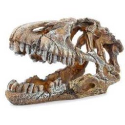 Decorațiune pentru acvariu, craniu de dinozaur (17 x 8 x 9 cm)