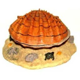 Happet piatră oxigenare scoică maro, decor acvariu (130 x 130 x 70 mm)