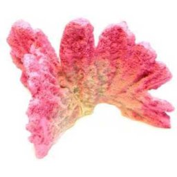 Decor pentru acvariu, coral roz (210 x 200 x 130 mm)