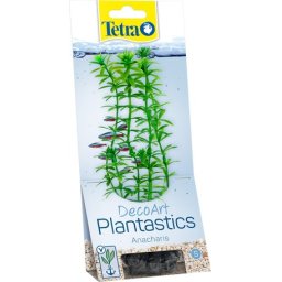 Tetra Anacharis plantă ornamentală pentru acvariu (S l 13 x 6 cm)