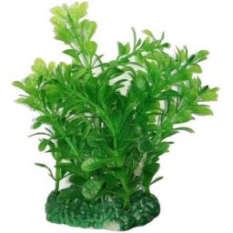 Decorațiune acvariu, plantă mică verde cu frunze 15 cm