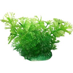 Ambulia mică, plantă artificială pentru acvariu 15 cm