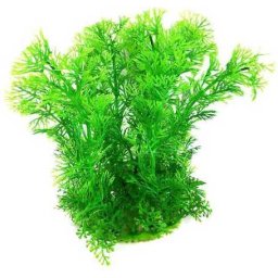 Plantă de acvariu cu tulpină lungă și frunze verzi, mici și ramificate 22 cm