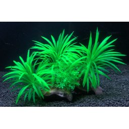Plantă artificială verde de acvariu, alge cu frunze mici la bază 15 cm