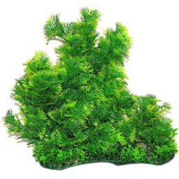 Plantă artificială cu ace verzi, vârfuri de frunze de culoare verde deschis 30 cm