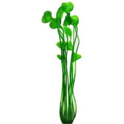 Plantă ornamentală de acvariu cu tulpină lungă și frunze verzi late 37 cm