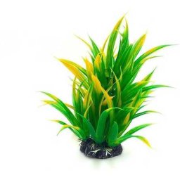 Plantă de acvariu în culori degradee de la verde la galben 20 cm