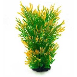 Plantă de acvariu în culori degradee de la verde la galben cu ace 20 cm