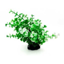 Plantă de acvariu cu mai multe tulpini, cu frunze verzi și albe 20 cm