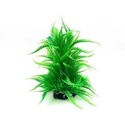 Plantă de acvariu cu alge verzi de mare cu frunze lungi 20 cm