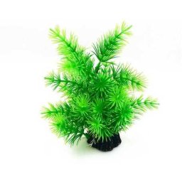 Plantă ornamentală pentru acvariu cu ace mici verzi 20 cm