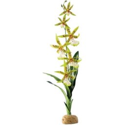 Exo Terra Spider Orchid - Plantă decorativă
