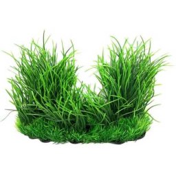 Plantă artificială verde smoc de alge marine pentru acvariu (Înălțime: 20 cm | Lățime: 25 cm)