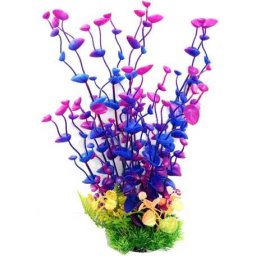 Plantă de acvariu cu tulpină lungă și frunze mov în formă de cochilie (34 cm)