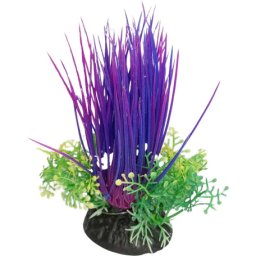 Iarbă de mare purpurie cu flori mici galbene și verzi, plantă de acvariu (12 cm)