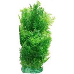 Plantă de acvariu înaltă, verde, cu frunze ramificate (30 cm)