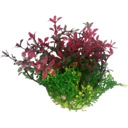 Plantă de acvariu cu frunze roșii și verzi și flori galbene (12 cm)
