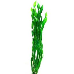 Plantă artificială de acvariu alge cu tulpini lungi verzi aplecate (20 cm)
