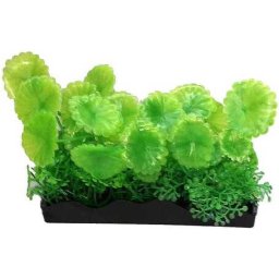 Plantă de acvariu artificială verde cu frunze rotunde zimțate și plante mici (20 cm)