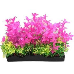 Răsad de acvariu roz cu plante mici galbene și verzi la bază (20 cm)