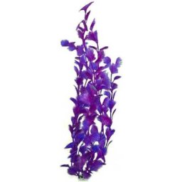 Plante de acvariu cu tulpini lungi căzute de culoare violet și albastru