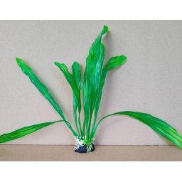 Plantă decorativă de acvariu cu frunze lungi flexibile