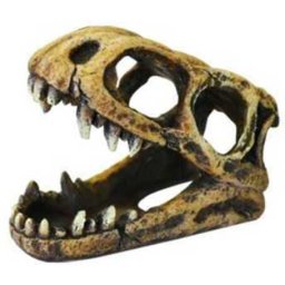 Happet craniu de dinozaur decor acvariu (100 mm)